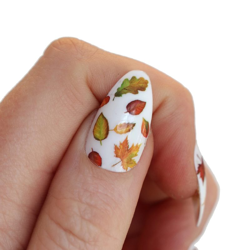 close-up of fall nail art stickers with autumn leaves and pumpkin designs