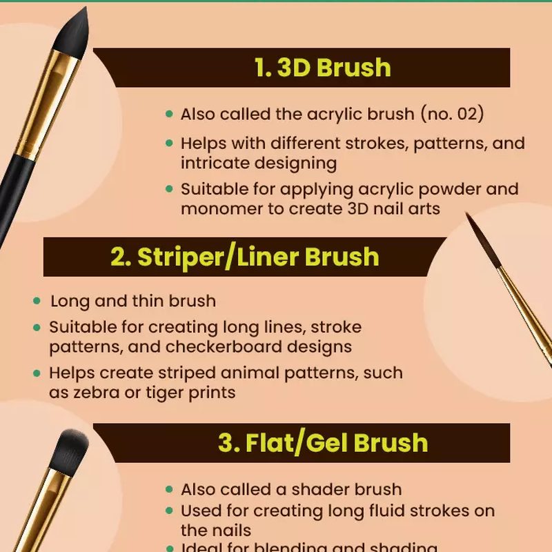 various nail art brush types laid out neatly for beginner use