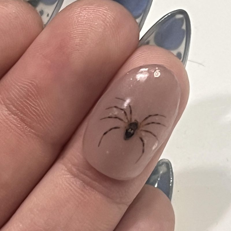 well-maintained spider gel manicure with glossy finish