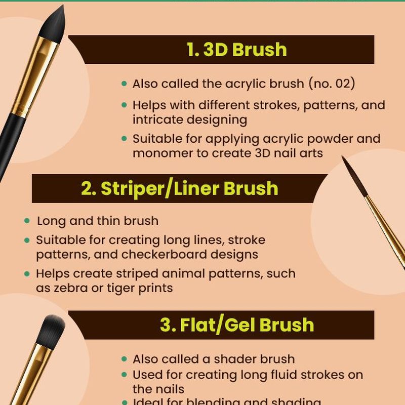 various nail art paint brushes including liner and fan brushes